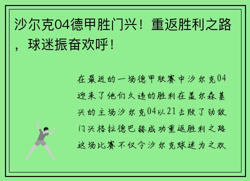 沙尔克04德甲胜门兴！重返胜利之路，球迷振奋欢呼！